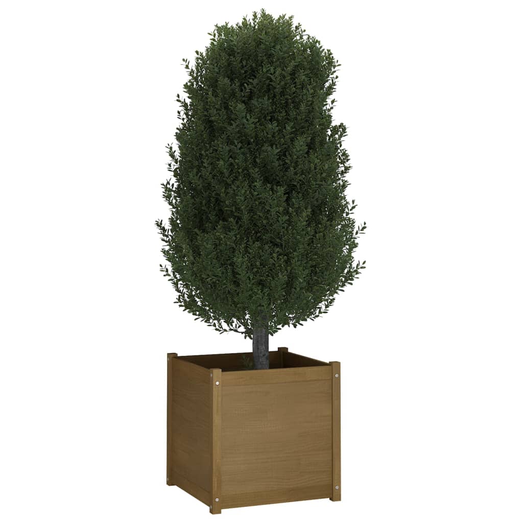 Garden Planters 2 pcs Honey Brown 23.6x23.6x23.6 Solid Wood Pine