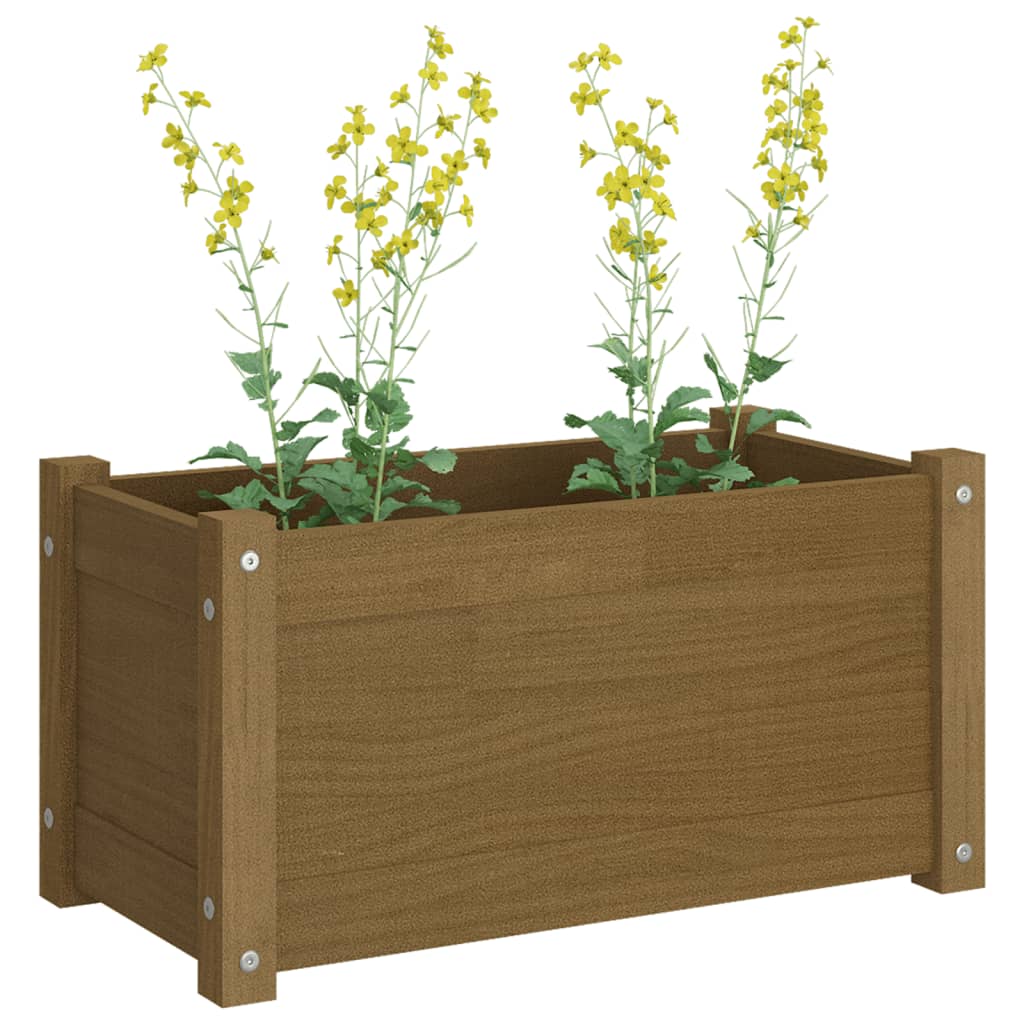 Garden Planters 2 pcs Honey Brown 23.6x12.2x12.2 Solid Wood Pine