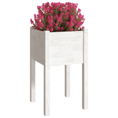 Garden Planter White 15.7x15.7x27.6 Solid Wood Pine