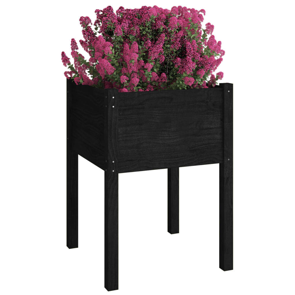 Garden Planters 2 pcs Black 19.7x19.7x27.6 Solid Wood Pine