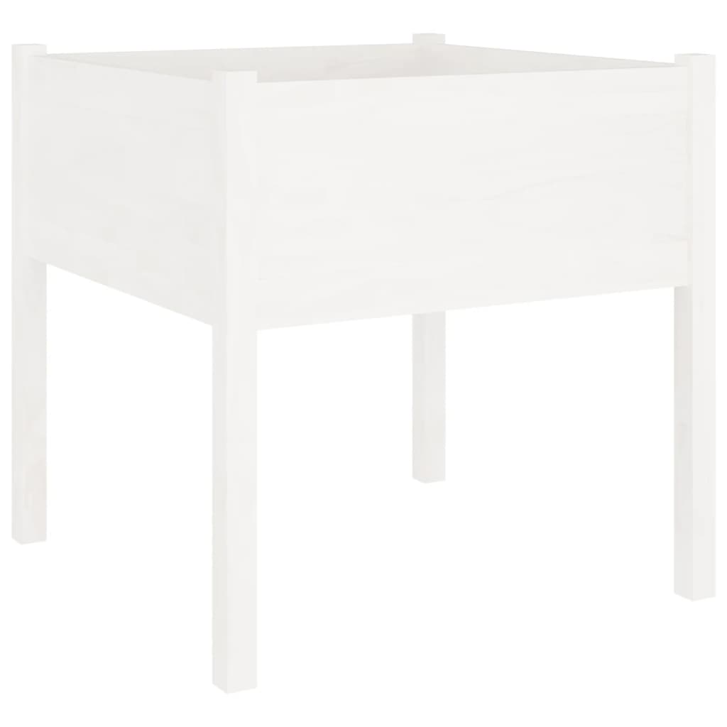 Garden Planters 2 pcs White 27.6x27.6x27.6 Solid Wood Pine