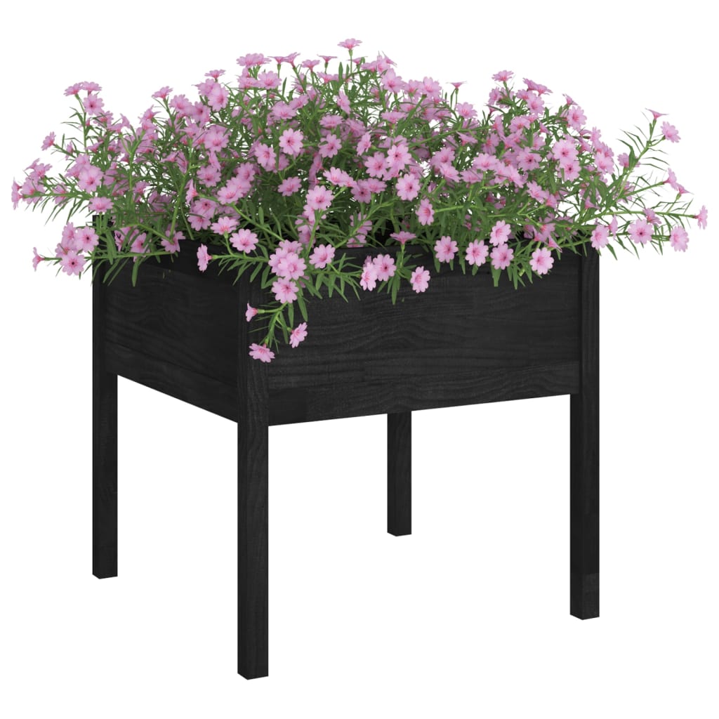 Garden Planters 2 pcs Black 27.6x27.6x27.6 Solid Wood Pine