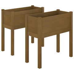 Garden Planter Set of 2 Honey Brown Solid Pinewood Medium