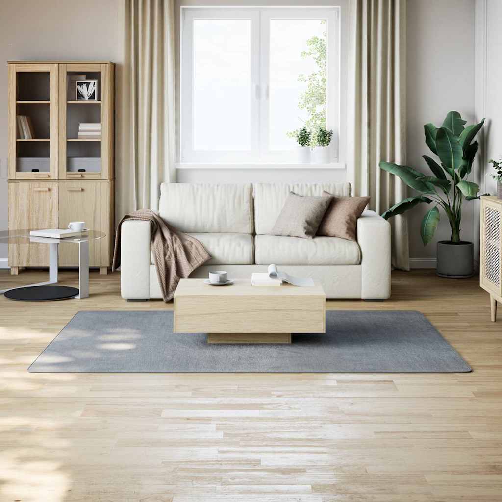 Washable Rug Soft Fluffy Short Pile 63x90.6 Anti Slip Gray