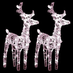 Two pink wireframe reindeer with warm white LED lights, standing side by side.