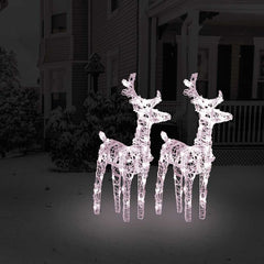 Two warm white LED-lit acrylic reindeer figures standing in a snowy yard.