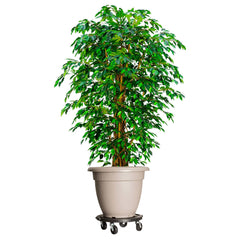 Plant Trolley with Wheels Diameter 15.7 Black 606.3 lb