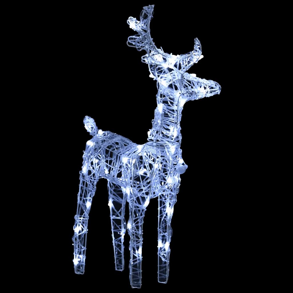 Acrylic reindeer Christmas decoration with 240 white LEDs on black background.