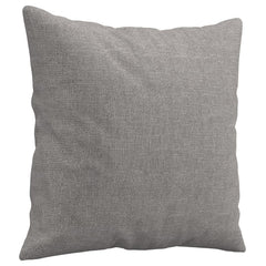 Set of two light gray fabric throw pillows, each 15.7x15.7 inches.