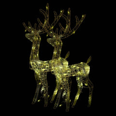 Two 47.2-inch lighted acrylic reindeer decorations with warm white LEDs.