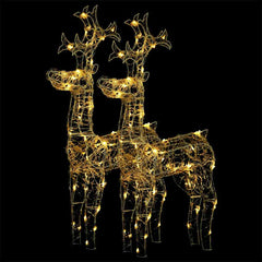 Two 39.4-inch lighted acrylic reindeer Christmas decorations with warm white LEDs.