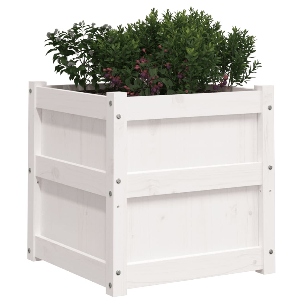 Garden Planter White 19.7x19.7x19.7 Solid Wood Pine