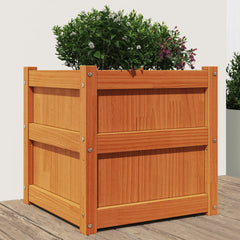 Garden Planter Wax Brown 19.7x19.7x19.7 Solid Wood Pine