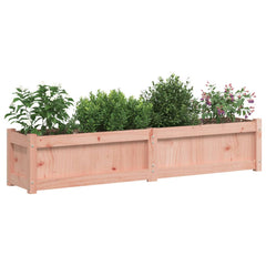 Garden Planter Set of 2 Unfinished wood Solid douglas wood Large