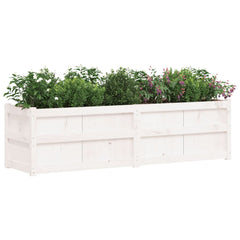 Garden Planter White Solid Pine Wood 70.9x19.7x19.7 in