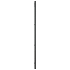 Wall Mirror Black 11.8x39.4 Rectangle Iron