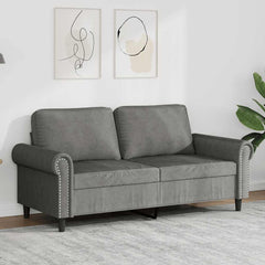 2-seater Sofa Dark Gray Velvet (100% polyester), Metal, Foam