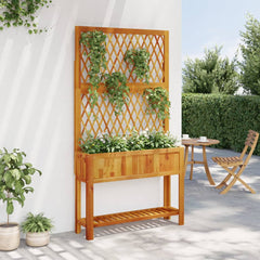 Planter with Trellis and Shelf 39.4x12.6x72.8 Solid Wood Acacia