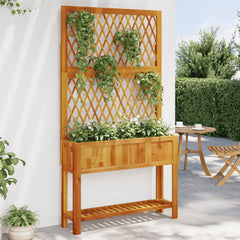 Planter with Trellis and Shelf 39.4x12.6x72.8 Solid Wood Acacia