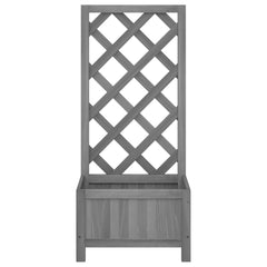 Planter Grey Solid fir wood Medium Planters Planter