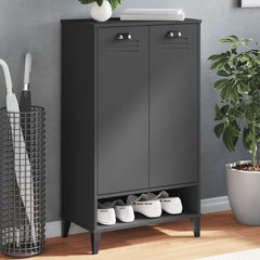 Anthracite gray engineered wood shoe cabinet with two doors and an open bottom shelf.