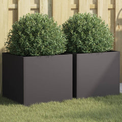 Planter Set of 2 Black Cold-rolled steel Medium Durable