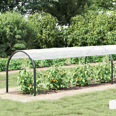Plant Cover Transparent and Black Polyethylene 6.6 x 13.1 ft