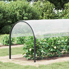 Plant Cover Transparent and black Polyethylene, nylon 2 x 16.4 ft