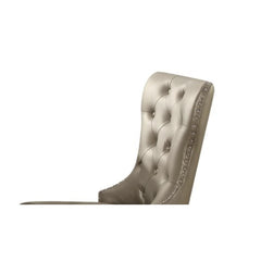 Aria Champagne Synthetic Leather & Champagne Finish Side Chair (Set of 2)