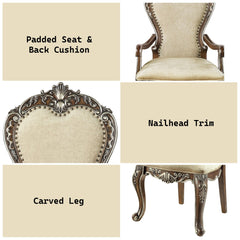 Apocalypse Antique Oak Finish Arm Chair (Set of 2)