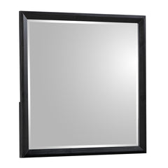 Neptune Traditional Style Mirror Made with Wood in Walnut(THIS ITEM INCLUDES MIRROR ONLY)