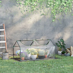 4' x 2' x 2' Portable Mini Greenhouse, Small Green House with PVC Cover, Roll-up Zippered Windows for Indoor, Outdoor Garden, Clear