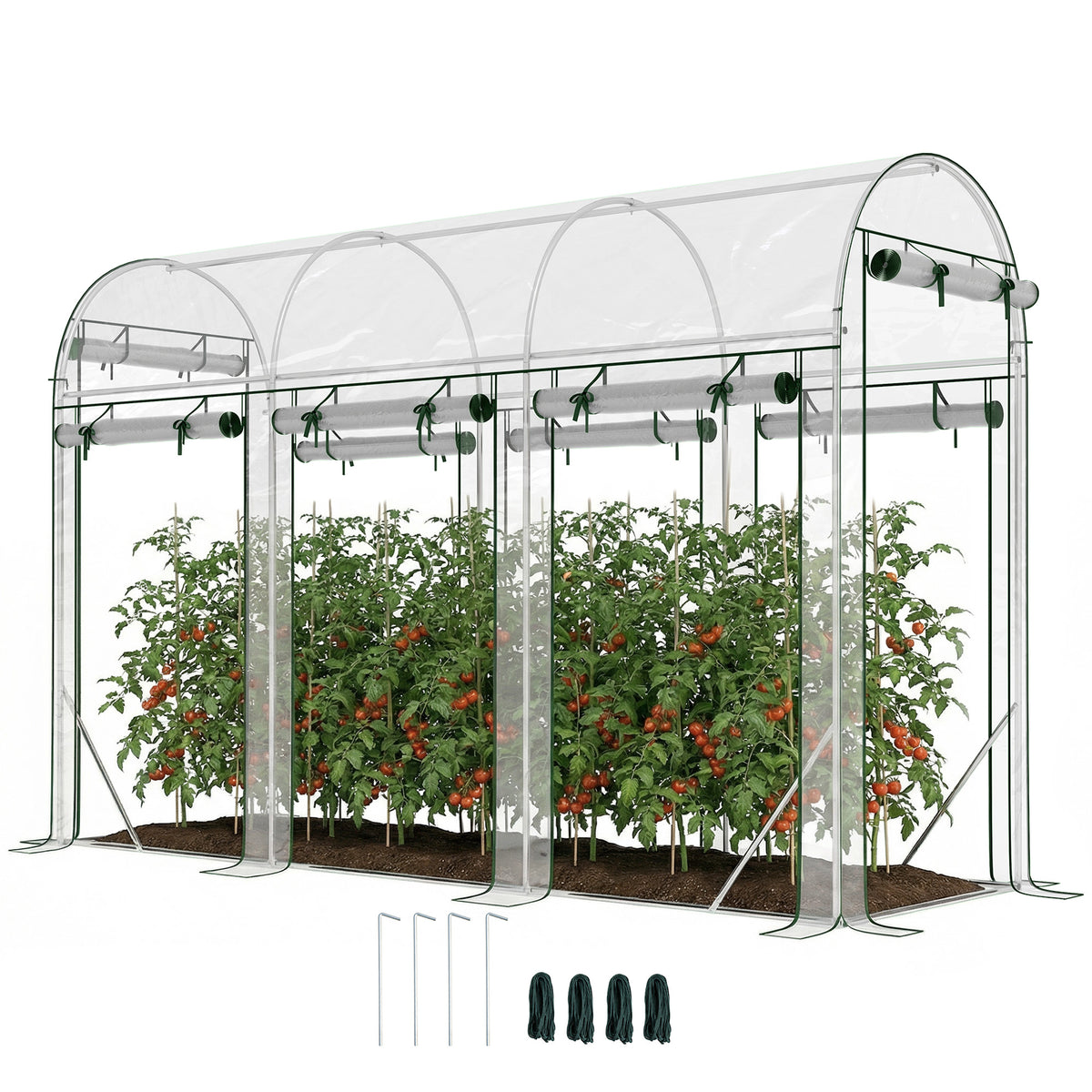 Walk-in Tunnel Greenhouse, Hoop House Greenhouse with 8 Roll-Up Doors, 10' x 3' x 6.5', Clear