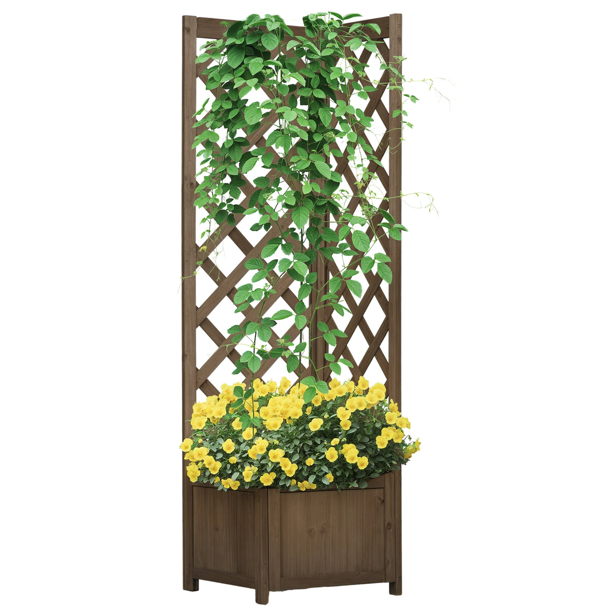 Wooden Raised Garden Bed, Planter with Trellis for Vine Climbing and Vegetables, Herbs and Flowers Growing, Carbonized