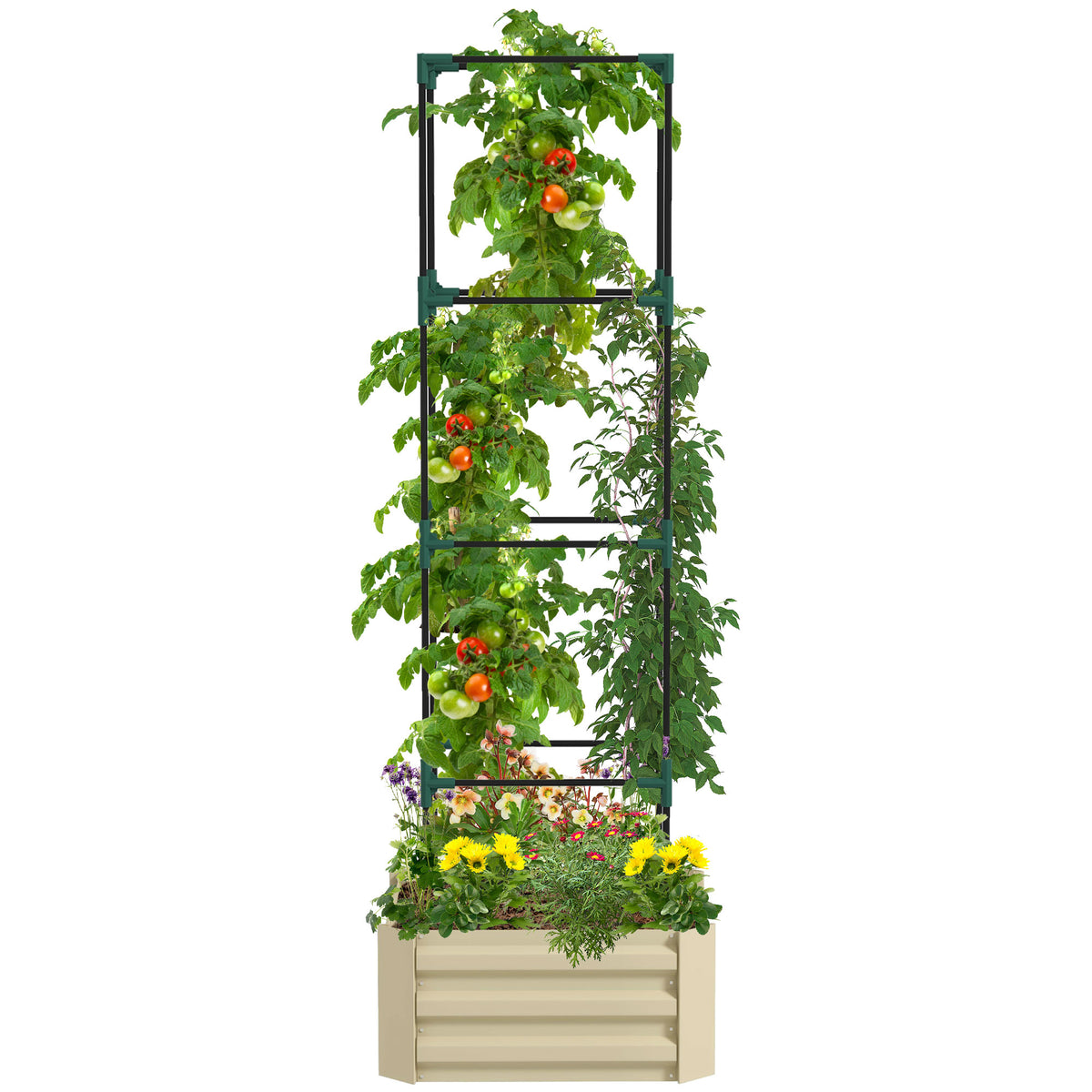Galvanized Planter Box, 24" x 24" x 73.5" Raised Garden Bed with Tomato Cage for Climbing Vines, Cream