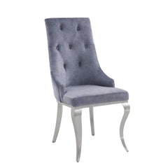 Showcase Gray Fabric & Stainless Steel Side Chair (Set of 2)