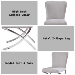 Chronos Light Gray Velvet & Chrome Finish Side Chair ( Set of 2)