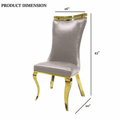 Silver Finish 2pc Side Chair Gold Legs Tiger Printed Upholstered Seat Dining Room