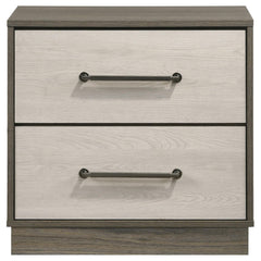 Revelation Grey Oak 2-drawer Nightstand