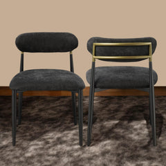 Aphrodite Black Fabric & Black Finish Side Chair (Set of 2)