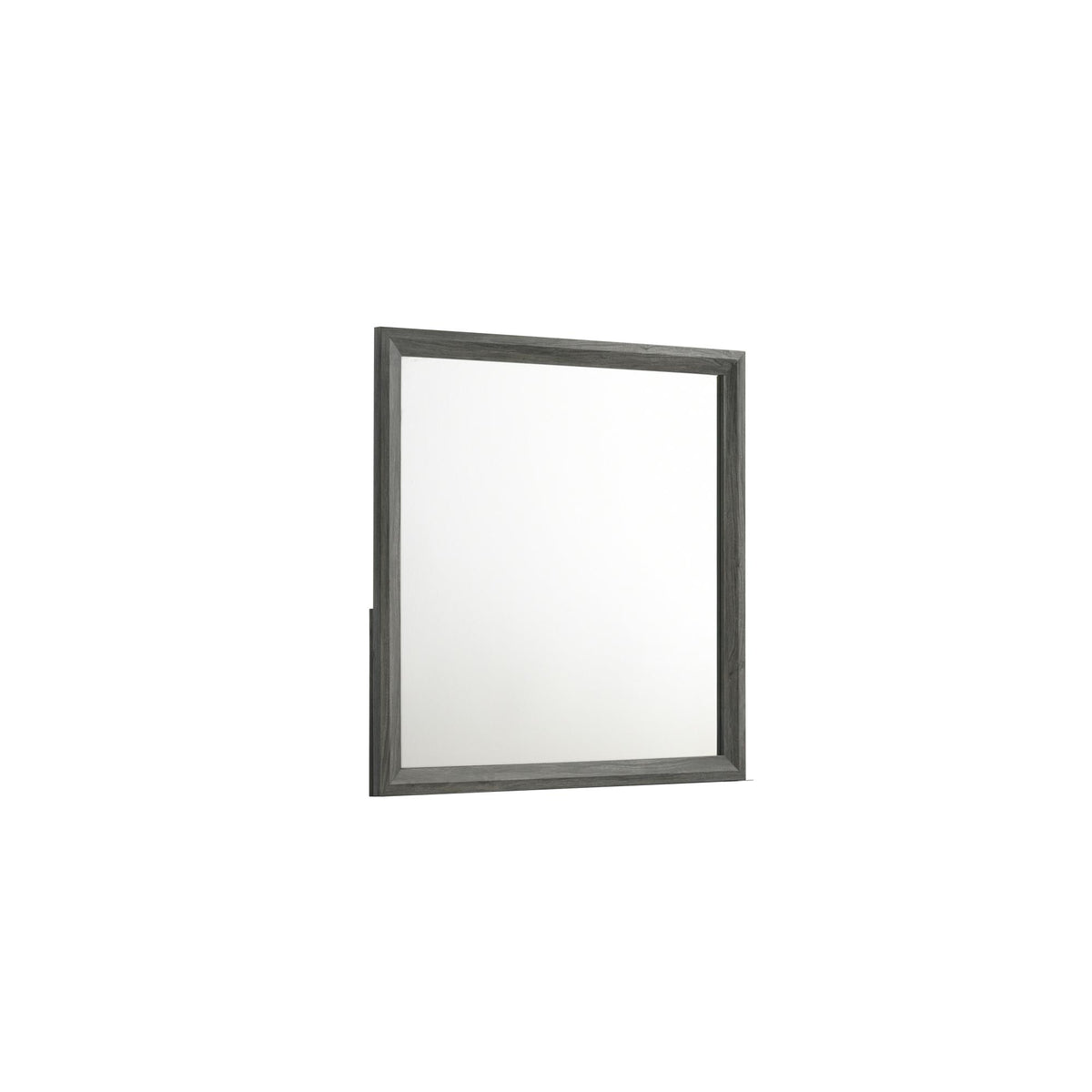 Clytemnestra Modern Style Mirror Made with Wood in Gray