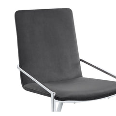 Aphrodite Gray Velvet & Chrome Finish Side Chair (Set of 2)