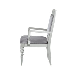 Symphony Fabric & Platinum Finish Arm Chair (Set of 2)