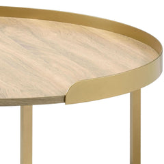 Nebula Oak & Gold Finish Coffee Table