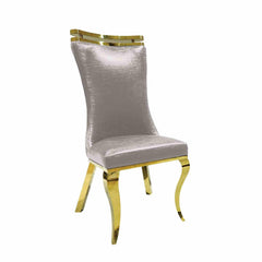 Silver Finish 2pc Side Chair Gold Legs Tiger Printed Upholstered Seat Dining Room