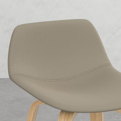 Eden Bentwood Counter/ Bar Height Stool (Set of 2)