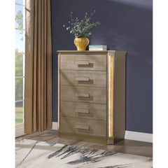 Paradise Chest Made with Wood in Gold