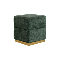 Contemporary Style Cube Design Accent Storage Compartment Stool Gold Plated Base Stainless Steel Green Finish Primary Living room