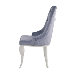 Showcase Gray Fabric & Stainless Steel Side Chair (Set of 2)
