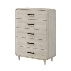 1pc Contemporary White Finish Ample Drawer Space Five Drawers Tall Chest Storage Wooden Furniture Antique White Color